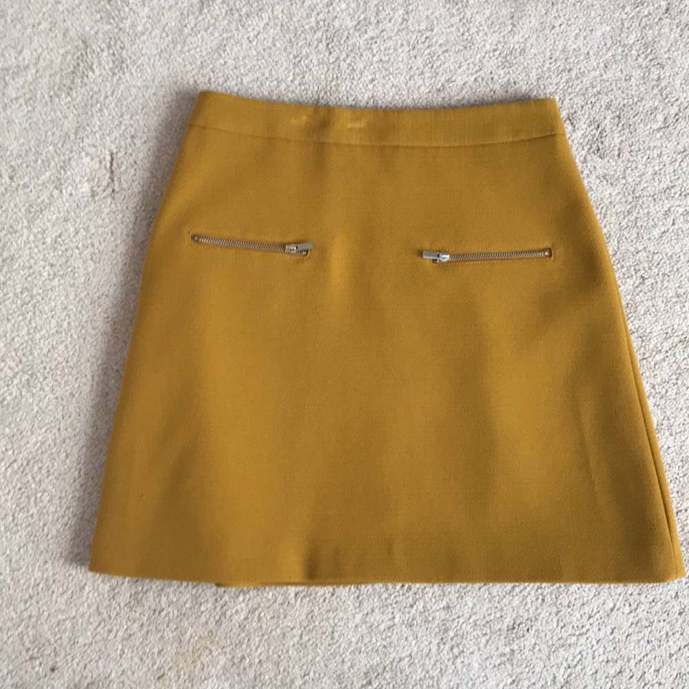 Zara Zipper Skirt